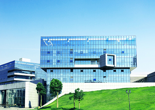 Hanchuan Plant